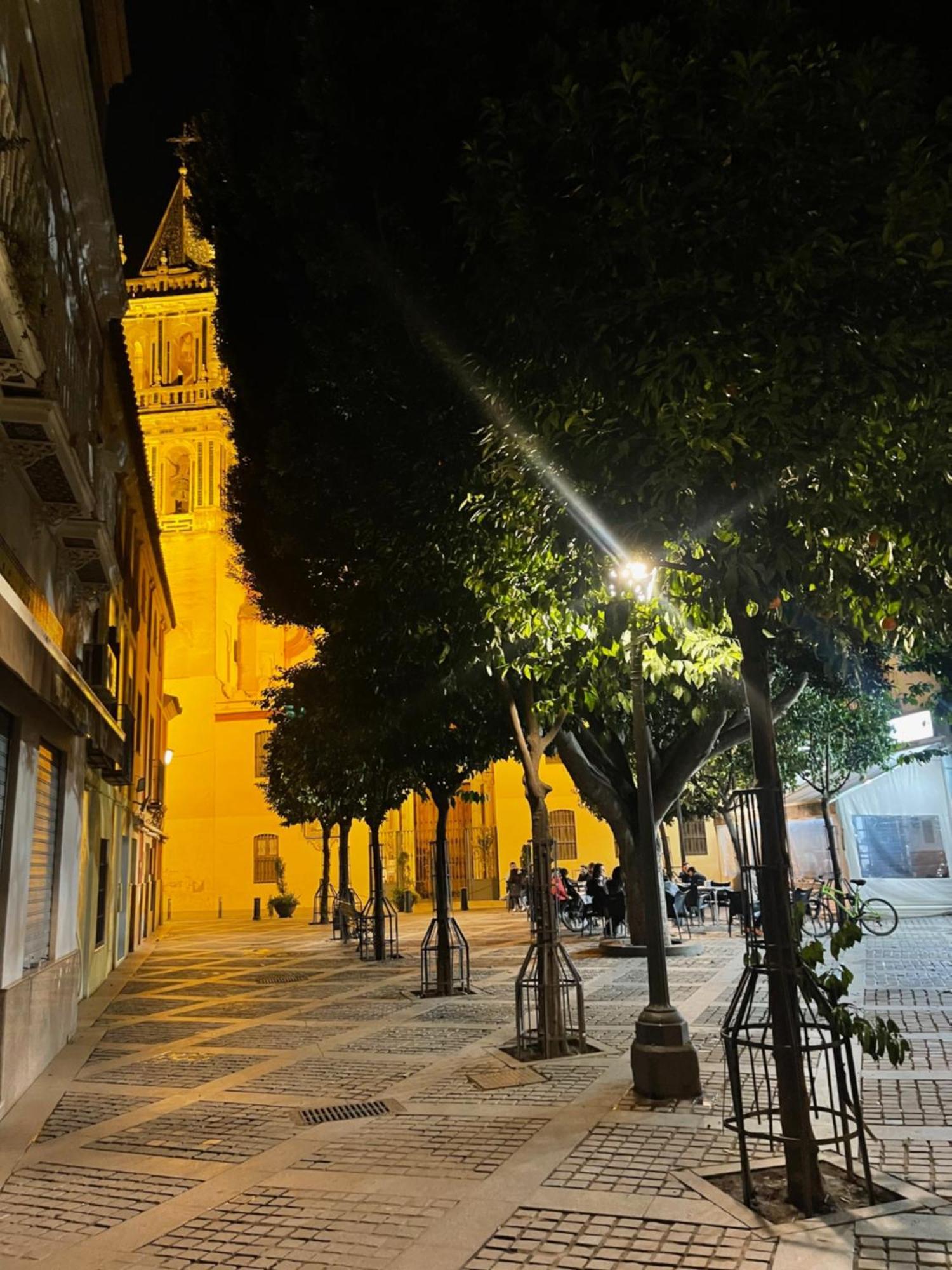 Apartamento Calle Rodrigo De Triana Con Opcion De Parking Sevilla Exteriör bild